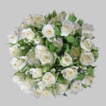 بيبي روز ابيض