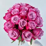 روز ديب بنفسجي