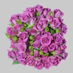 سكاي بنفسجي بيبي روز