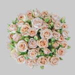 Spray Sahara Baby Rose