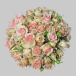 سويت سهاره بيبي روز