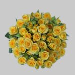 بيبي روز اصفر